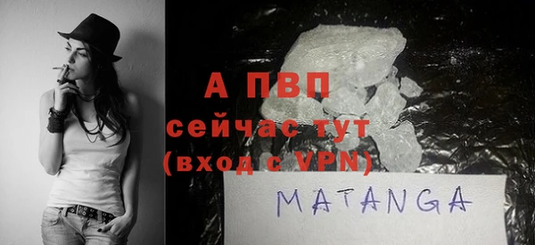 амф Бородино
