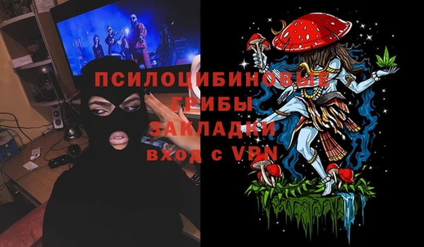 соль курить ск Богородск