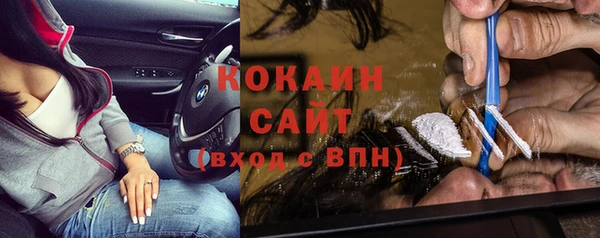 амф Бородино