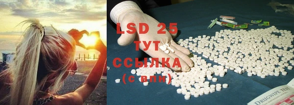 индика Россошь