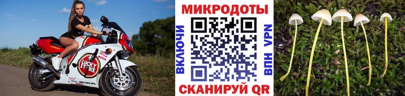 Псилоцибиновые грибы MAGIC MUSHROOMS Данков
